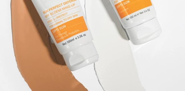 WhatsApp Image 2024-12-12 at 11.13.28